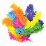 Plumes colorées assorties 10 g