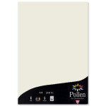 Papier  faire part Pollen A4 210g par 25 couleurs variées - Gris Perle