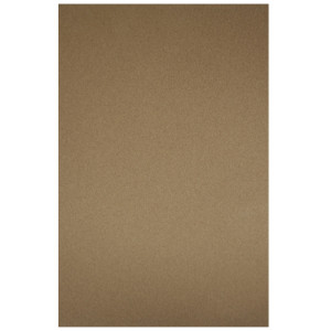 Papier pastel Sennelier Pastel Card 50 x 65cm - 008 - Vert clair