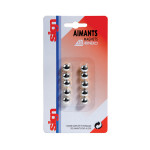 Aimants 9 mm argent par 10