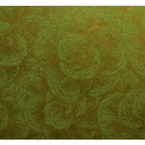 Papier Lokta 50 x 70 cm 150 g/m² Fleurs dorées sur Vert Anis