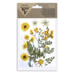 Fleur pressée assortiment Jaune 12 pcs